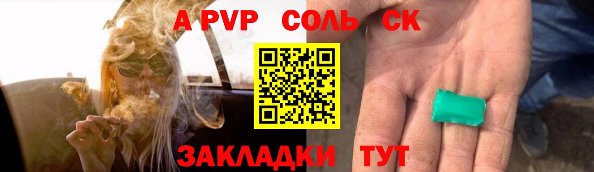 Alfa_PVP СК КРИС Луга