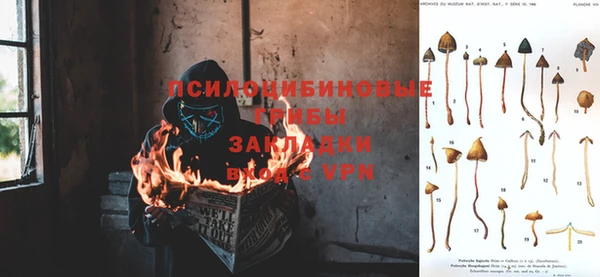 бутират Коряжма