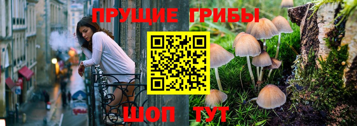 Галлюциногенные грибы Cubensis Луга