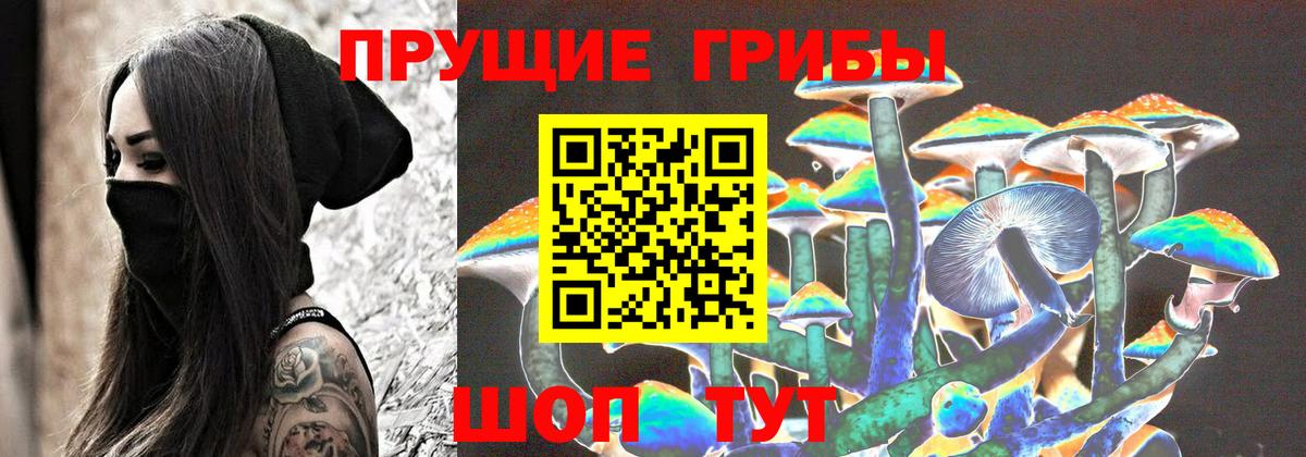 Псилоцибиновые грибы ЛСД  Луга 