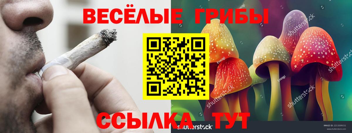 Псилоцибиновые грибы Psilocybe  сколько стоит  Луга  Псилоцибиновые грибы Magic Shrooms  Вход с VPN 