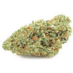 Шишки OG Kush  (Гидропоника, бошки) VHQ в Луге